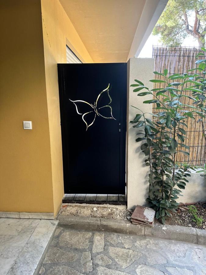 Papillon De Cimiez Διαμέρισμα Νίκαια Εξωτερικό φωτογραφία